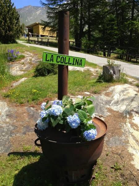 Hotel La Collina Saas-Fee Exterior photo